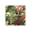 Fiskars Orange/Black Food Gardening Harvesting Knife, small image number 4