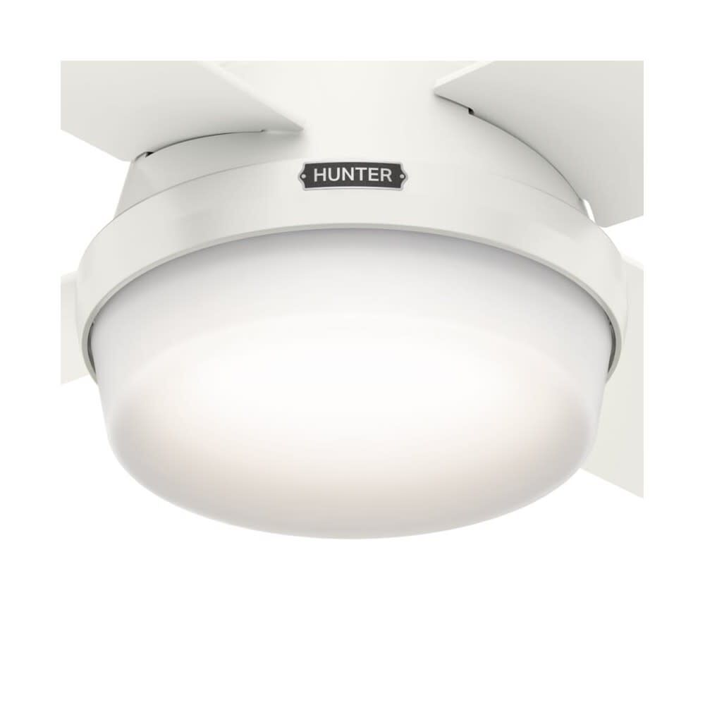 Hunter Fan Dempsey Ceiling Fan 44in Fresh White Blonde Oak/White, large image number 4