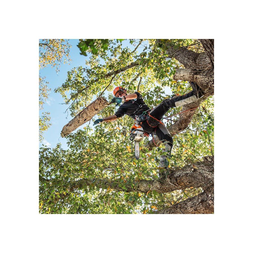 Stihl MSA 220 TC-0 14 Inch Quick-Adjust 36V Battery-Powered Chainsaw (Bare Tool), large image number 5