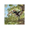Stihl MSA 220 TC-0 14 Inch Quick-Adjust 36V Battery-Powered Chainsaw (Bare Tool), small image number 5