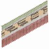 Paslode 3 In. x .131 In. Hot Dipped Galvanized Framing Nail HDG+, small image number 1
