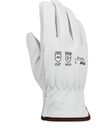 Protective Industrial Products Goatskin Leather Driver Gloves with A6 Lining XL 12 Pairs, small image number 2
