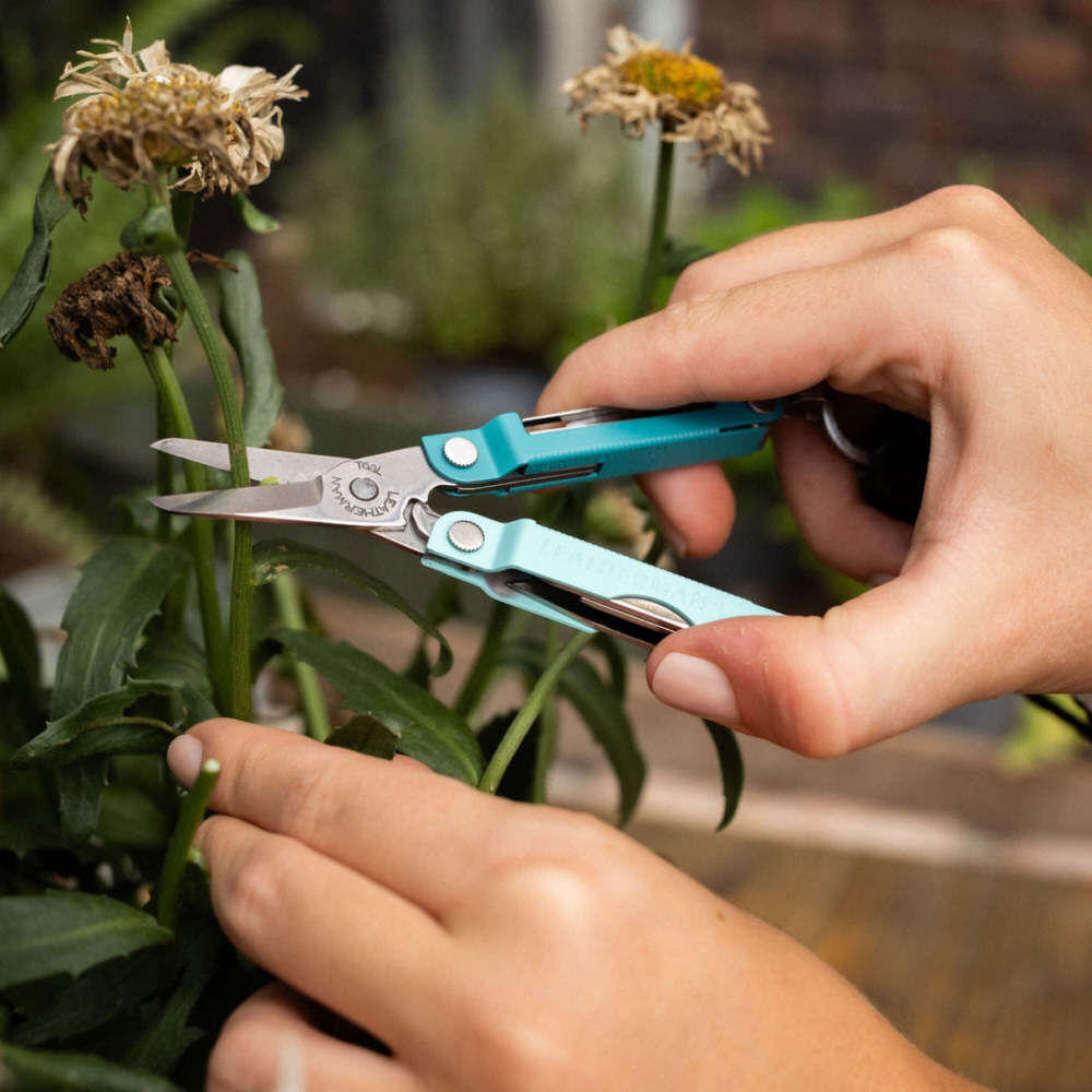 Leatherman Micra Multi-Tool, Parakeet, large image number 4