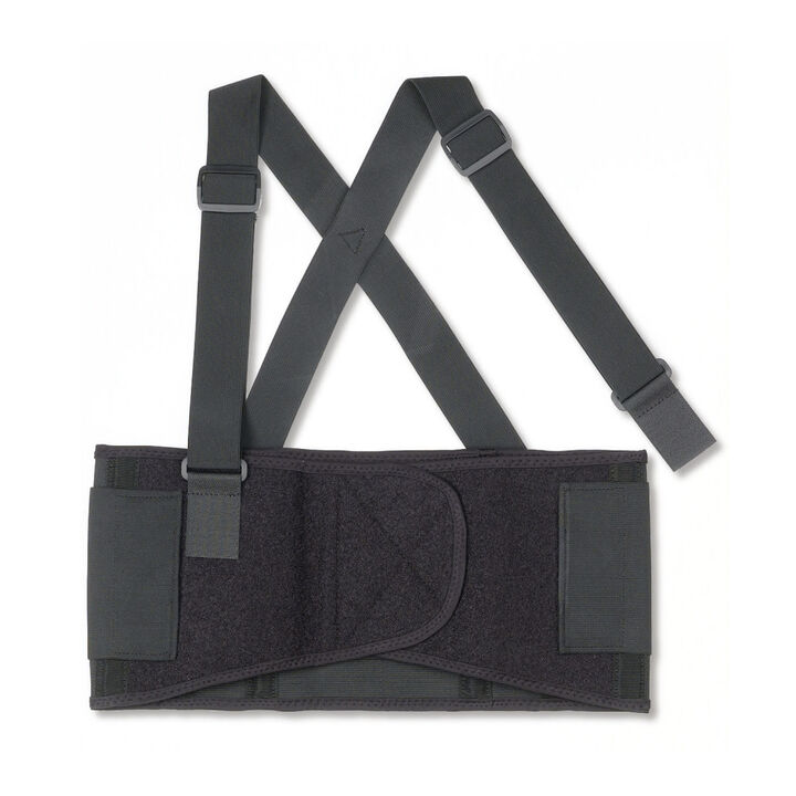 Ergodyne Proflex 1650 Back Support