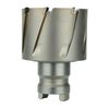 Milwaukee 1 in. Quick Change Tang Drive Steel Hawg Cutter, small image number 1