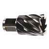 Milwaukee 13/16 in. HSS Annular Cutter 1 in. Depth, small image number 1