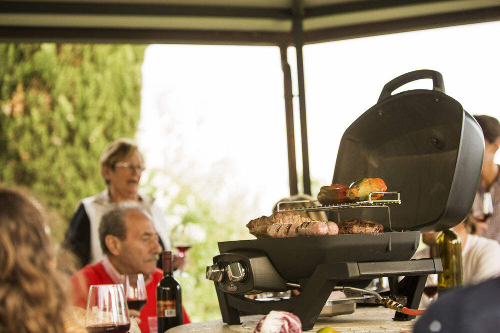 Napoleon TravelQ PRO285 Portable Natural Gas Grill Black, large image number 6