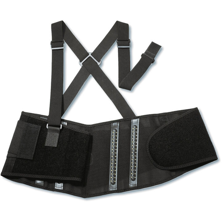 Ergodyne Proflex 2000 Back Support - Large