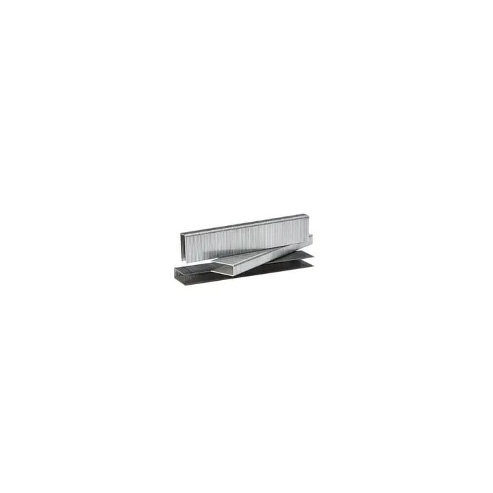 Paslode 1/2 in x 1/4 in Stainless Steel Divergent Point Staple