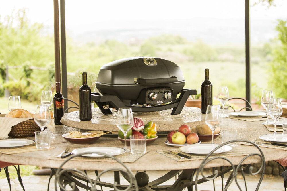Napoleon TravelQ PRO285 Portable Propane Gas Grill Black, large image number 9