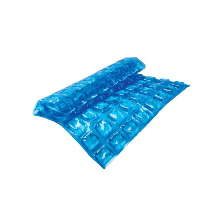 Igloo Maxcold Natural Ice Sheet Reusable Blue 88 Cube