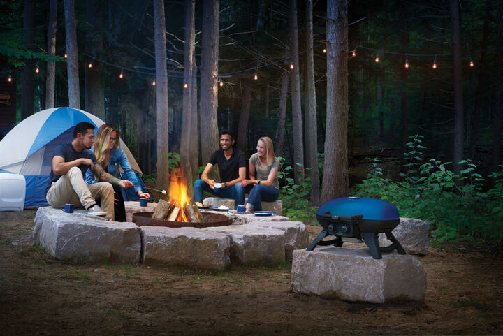 Napoleon TravelQ 285 Portable Propane Gas Grill Blue, large image number 6