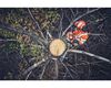 Husqvarna 562 XP Mark II 24 Inch and C83 Chain 4.7HP Gas-Powered Chainsaw, small image number 4