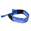 Radians Arctic Radwear Headband Blue Paisley, small image number 1