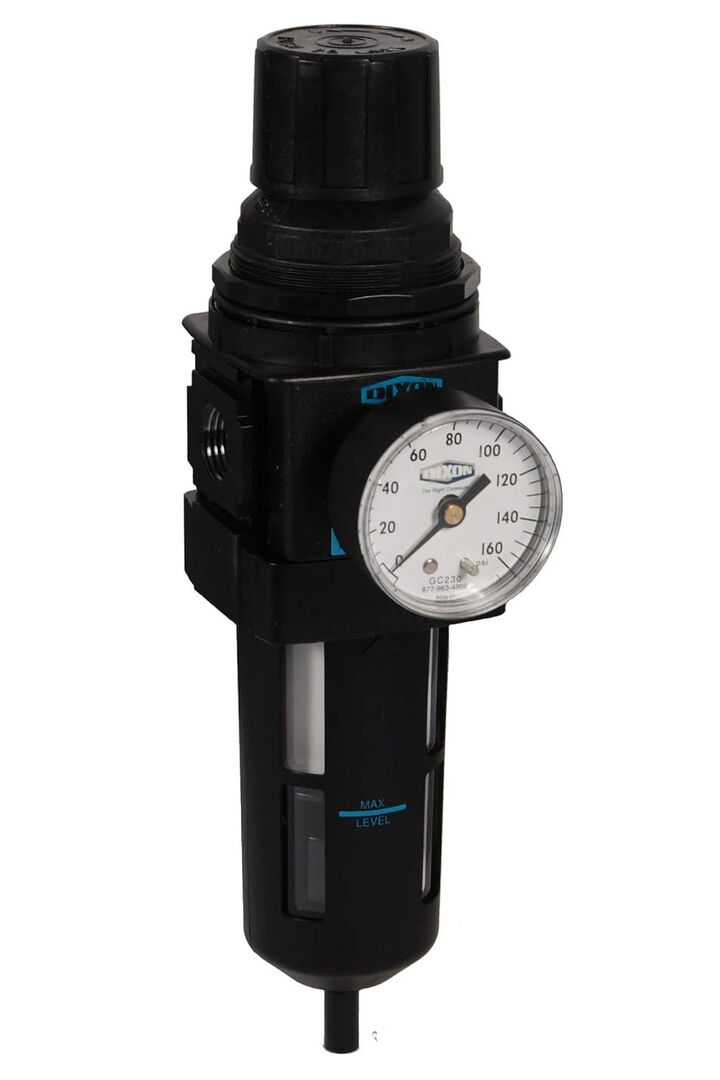 Dixon Valve and Coupling Wilkerson B28 1/2 Inch Port Manual Drain Standard Filter/Regulator