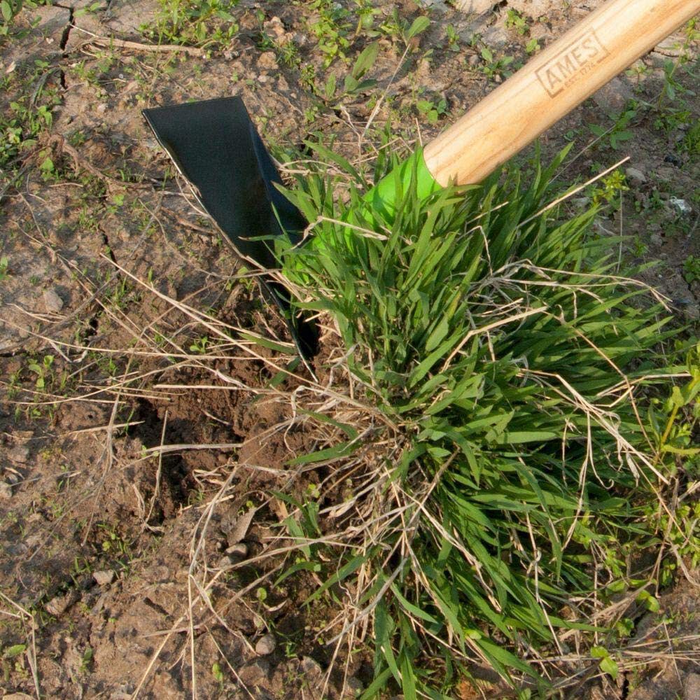 Ames 2 Prong Weeder Hoe with Cushion End Grip on Hardwood Handle, large image number 3