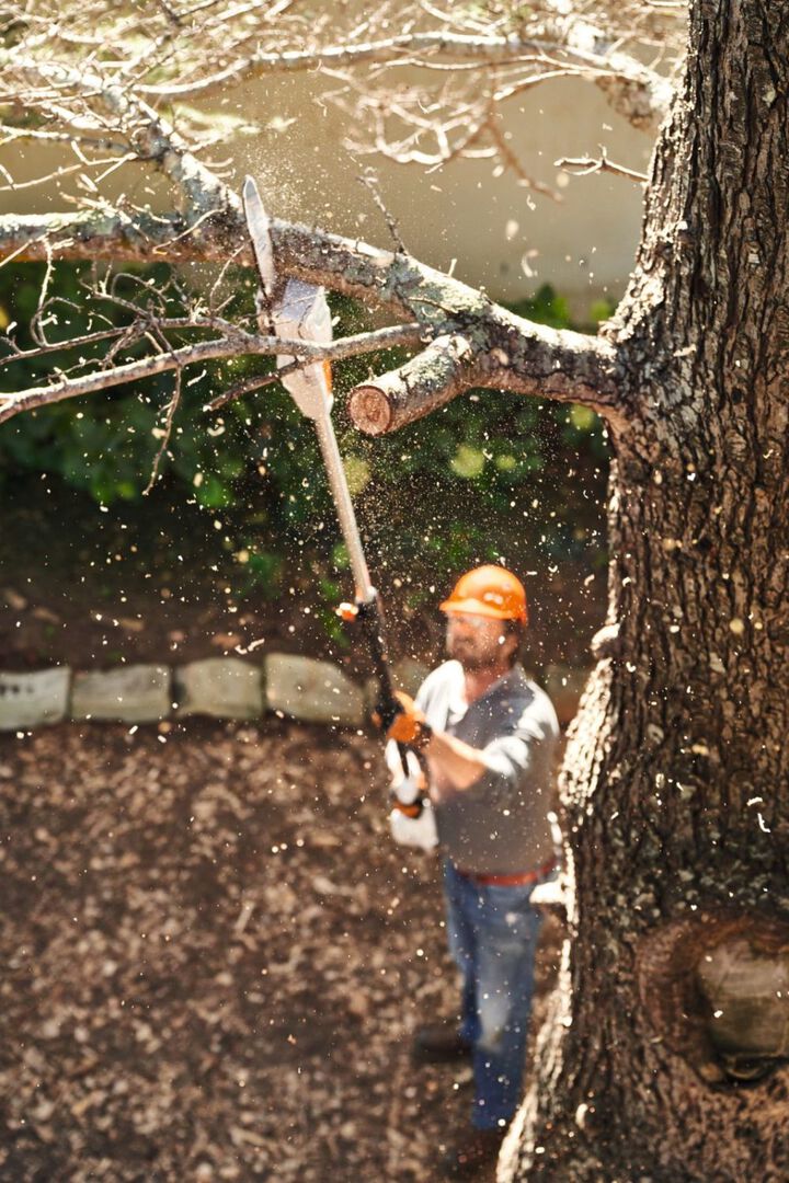 Stihl HTA 50 36V Battery Powered Extended-Reach Pole Pruner (Bare Tool), large image number 4