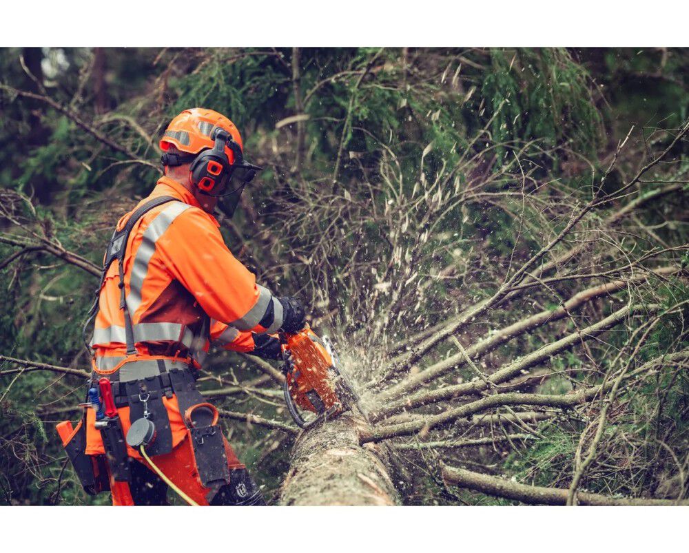 Husqvarna 564 XP Fuel Injected 24 Inch US X-Tough Light RSN C85 Chainsaw, large image number 4