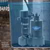 Superior Pump Vertical Float Switch, small image number 4