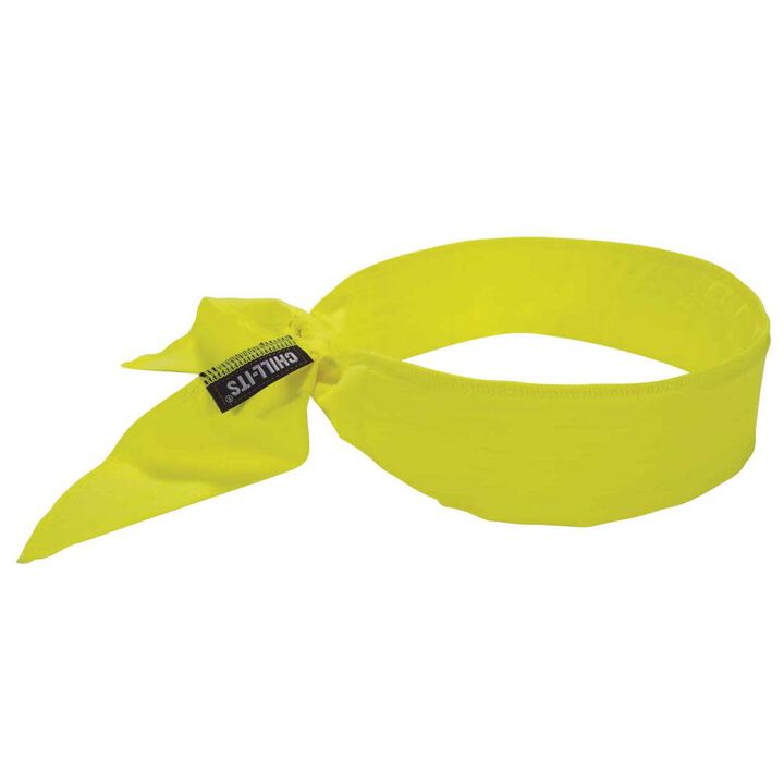 Ergodyne Chill Its 6702 Cooling Bandana, swatch