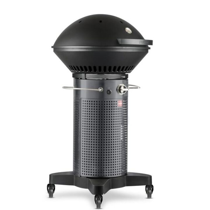 Fuego Professional 24in 2 Burner Propane Gas Grill, large image number 2