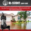 Red Lion 1HP 3000 GPH Sump and Effluent Pump with Tethered Float Switch, small image number 5