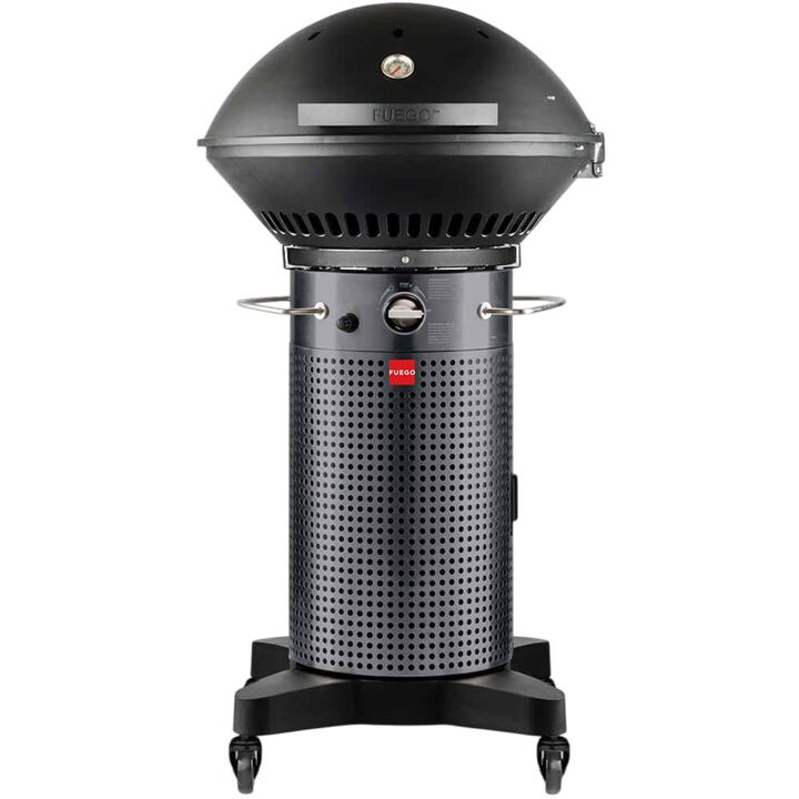 Fuego Professional 24in 2 Burner Propane Gas Grill