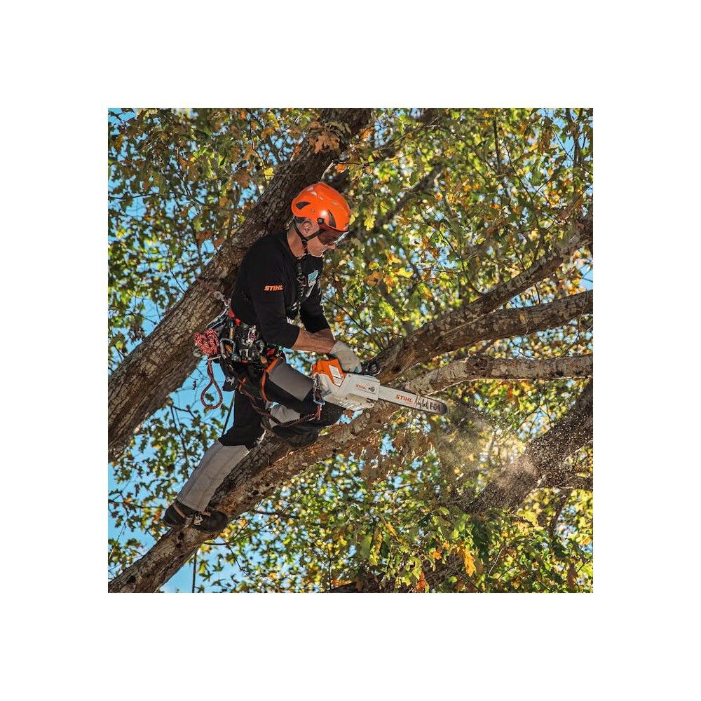 Stihl MSA 220 TC-0 12 Inch Manual Adjust 36V Battery-Powered Chainsaw (Bare Tool), large image number 4