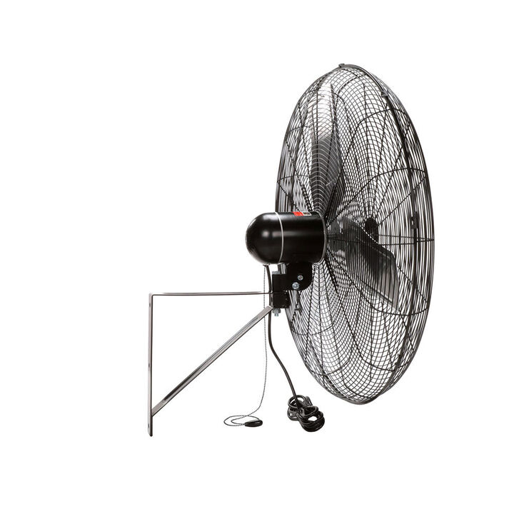 TPI Corporation 24in Commercial Wall Mount Air Circulator, large image number 1