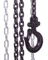 Atlas Lifting and Rigging TCH 5 Ton Chain Hoist 11000 lbs 10 Ft. Lift, small image number 2