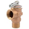 Cash Acme F-30 Temperature & Pressure Relief Valve 3/4in, small image number 1