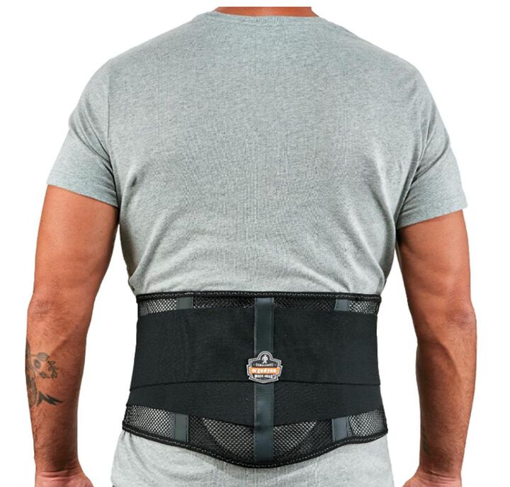 Ergodyne Proflex 1051 Light Mesh Back Support, Small