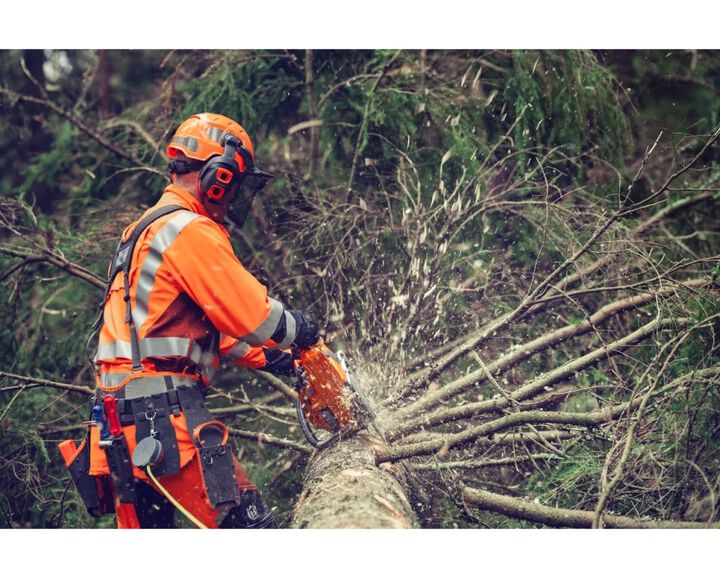 Husqvarna 564 XP Fuel Injected 28 Inch US X-Tough Light RSN C85 Chainsaw, large image number 3