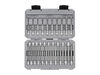 Tekton 1/4 Inch Long Hex and Torx Bit Socket Set with Case, 31 Pieces, small image number 1