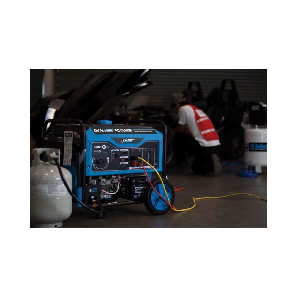 Pulsar Products 12,000 Watt Dual Fuel 50-State Portable Generator, large image number 5
