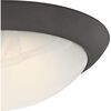 Westinghouse 11in 15W Oil Rubbed Bronze Ceiling Light Fixture, small image number 2
