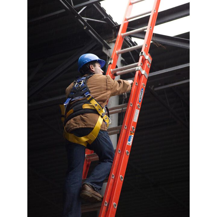 Werner Type IA Fiberglass D-Rung Extension Ladder 24', large image number 5