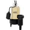 K2 Pumps Sewage Pump 3/4 HP Cast Iron with Piggyback Tethered Switch, small image number 1