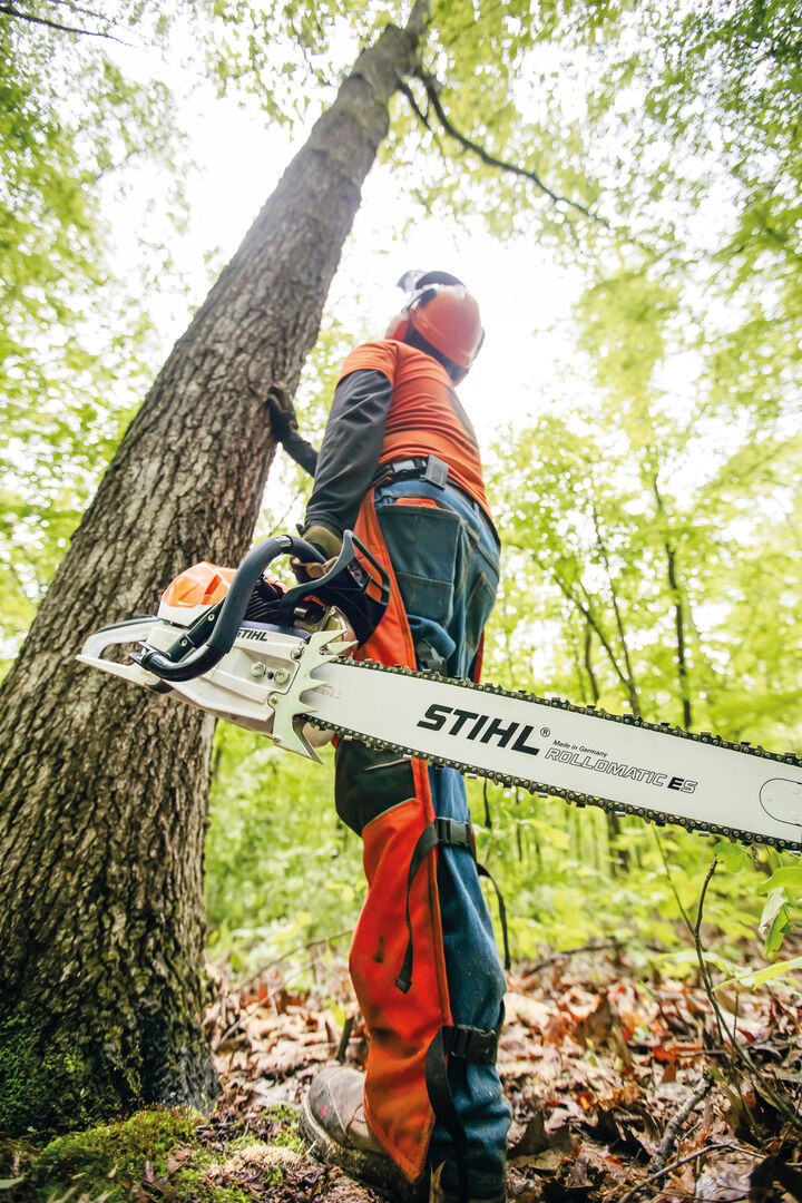 Stihl 20 Inch Bar Rear Handle Chainsaw Gas Powered without Depth Limiter, large image number 19