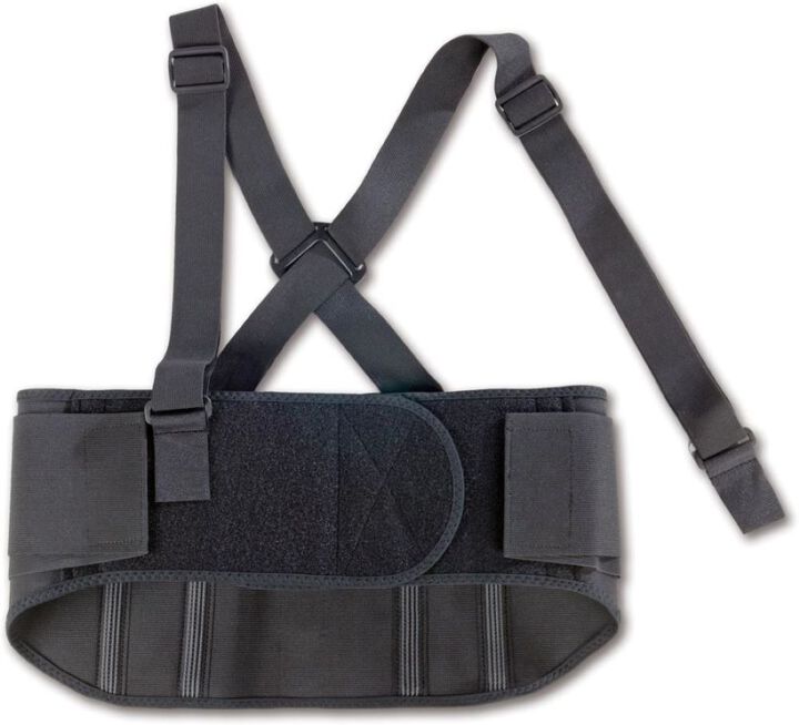 Ergodyne Proflex 1600 Back Support