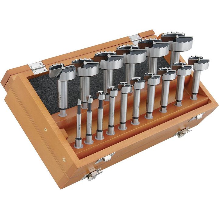 Woodstock High-Carbon Steel Forstner Hex Shank Bit Set 16pc
