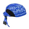 Radians Arctic Radwear Head Shade Blue Paisley, small image number 1