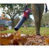 Toro Flex Force 60V Leaf Blower Kit Handheld, small image number 3