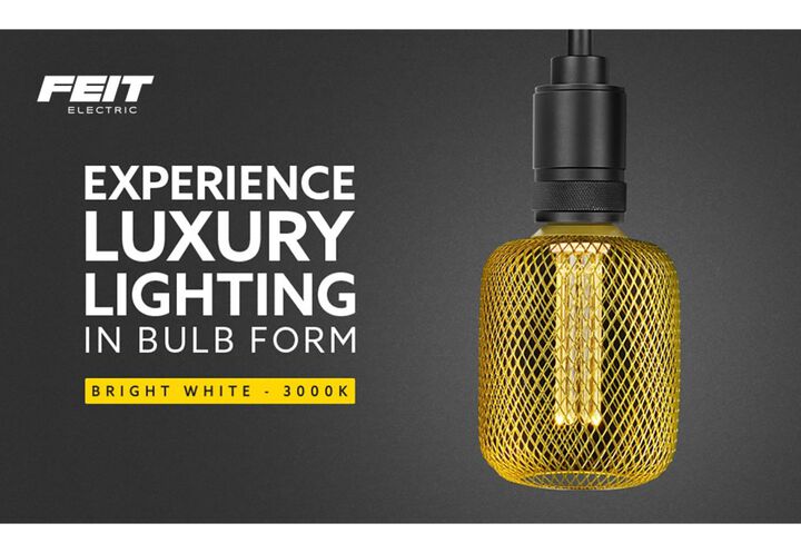 Feit Electric 3.5W 140 Lumens E26 Acrylic LED Bulb White Base Gold Mesh Cage, large image number 4
