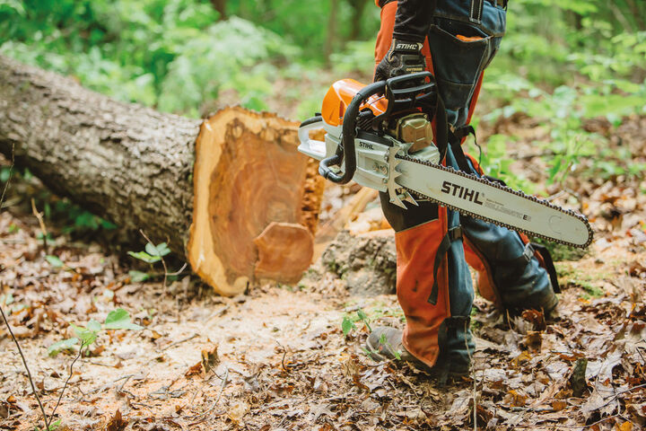 Stihl 20 Inch Bar Rear Handle Chainsaw Gas Powered without Depth Limiter, large image number 17