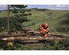 Husqvarna 565 20 Inch and C85 Chain 5HP Gas-Powered Chainsaw, small image number 2