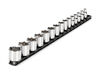 Tekton 3/8 Inch Drive 6 Point Socket Set with Rail, 15 Pieces (1/4-1 Inch), small image number 1