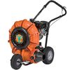 Billy Goat F10 Large Property/Commercial Push Force Blower with 10 HP Vanguard Engine, small image number 1