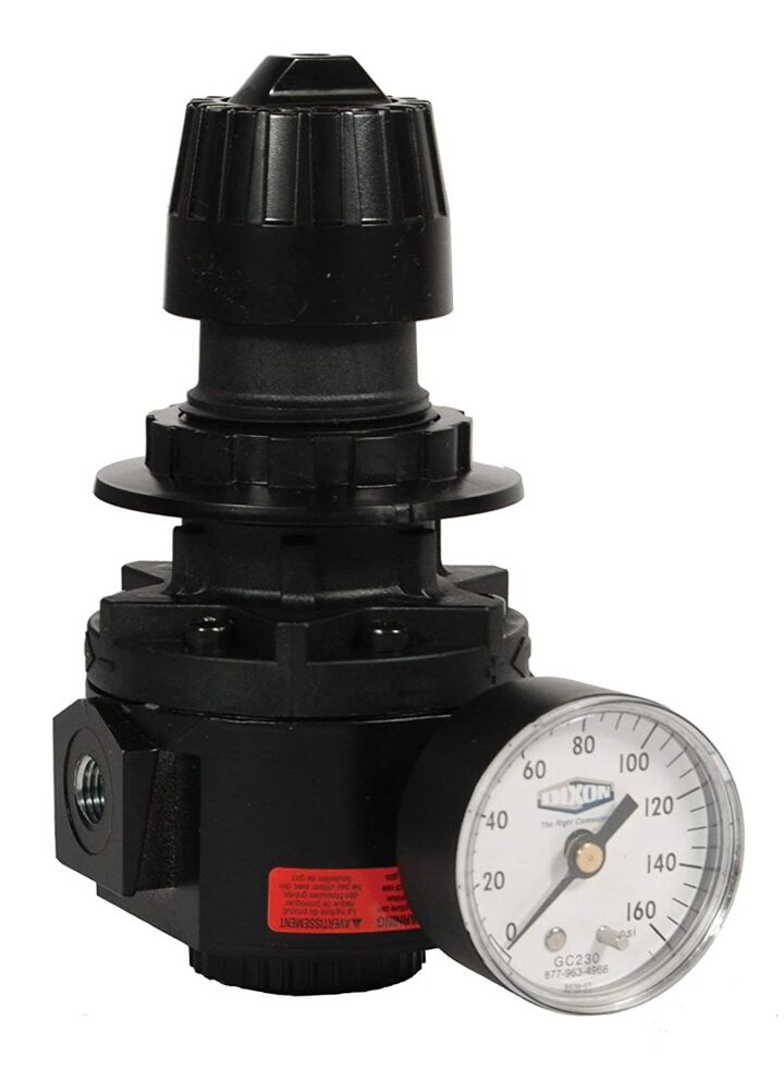 Dixon Valve and Coupling 1/2 In. 300 Psi Standard Regulator with Gauge