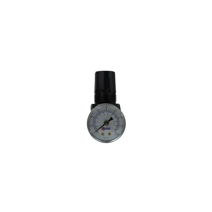 Coilhose 0-125 Psi 1/4in Port Miniature Regulator
